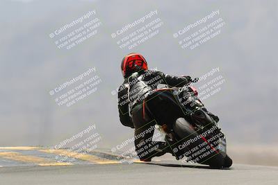 media/Apr-10-2022-SoCal Trackdays (Sun) [[f104b12566]]/Turn 9 Backside (1120am)/